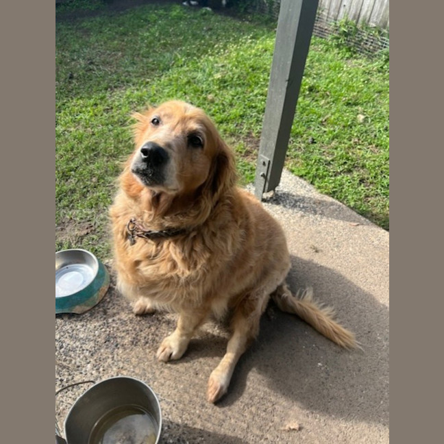 Photo of Lola