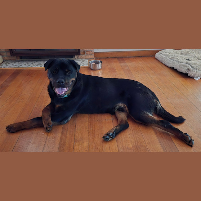 Photo of Lj