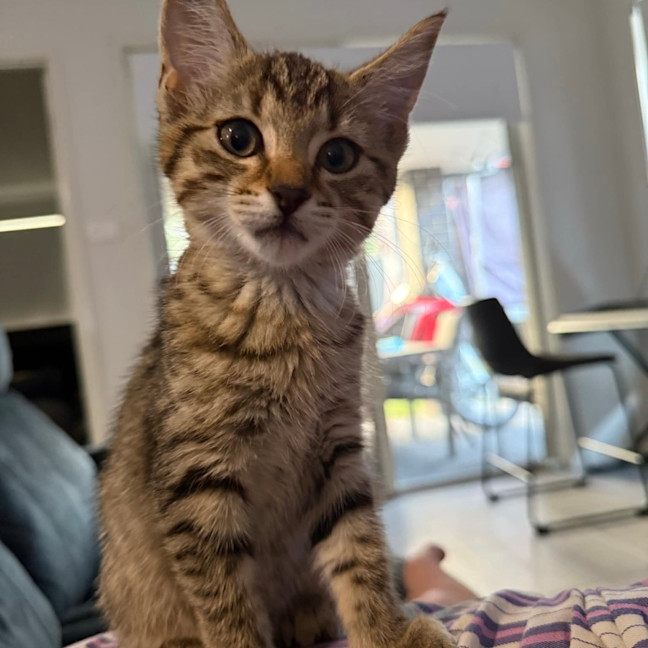 Photo of Bonnie 🍇