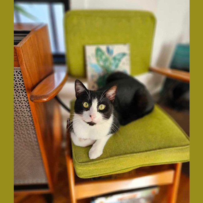 Photo of Ziggy