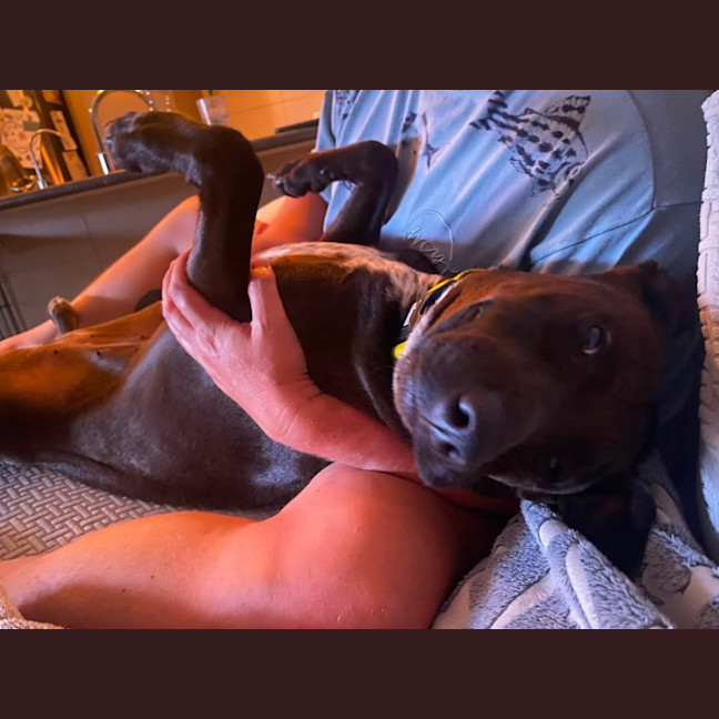 Photo of Bonnie