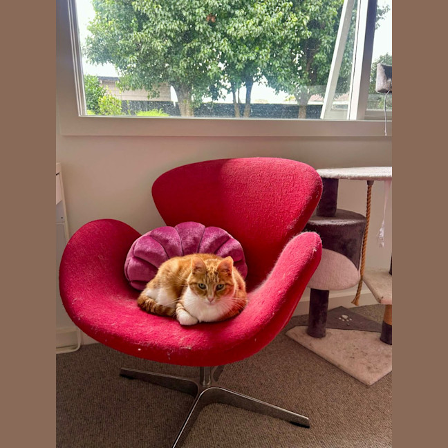 Photo of Mia