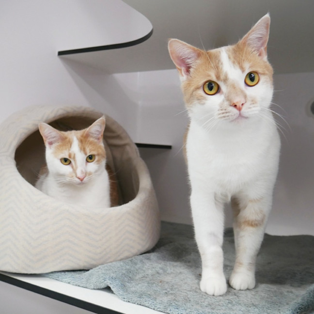 Photo of Faulkner  & Skeet