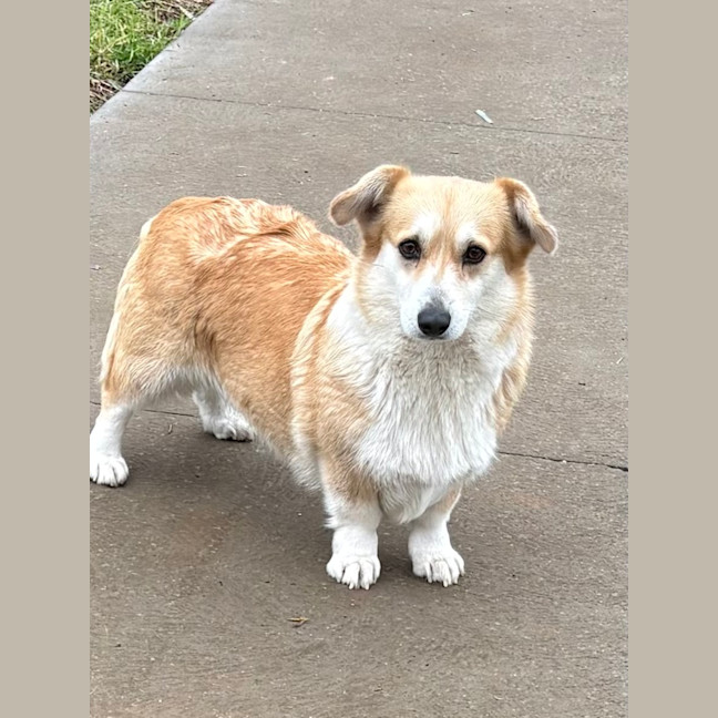 Photo of Misty 