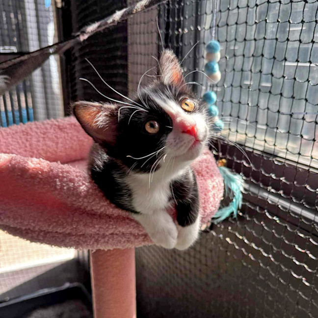 Photo of Bonnie