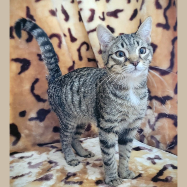 Photo of Xavier 
