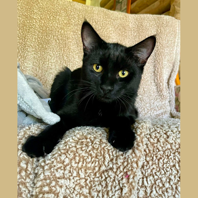 Photo of Petie
