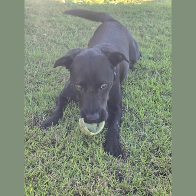 Photo of Cali