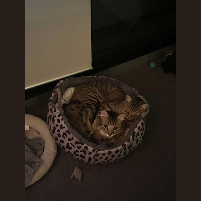 Photo of Fred & Barney