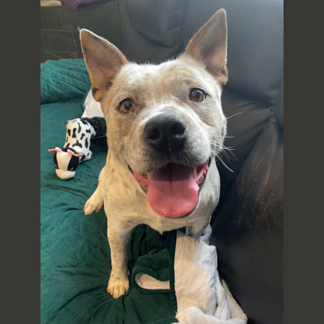 Photo of Bruce