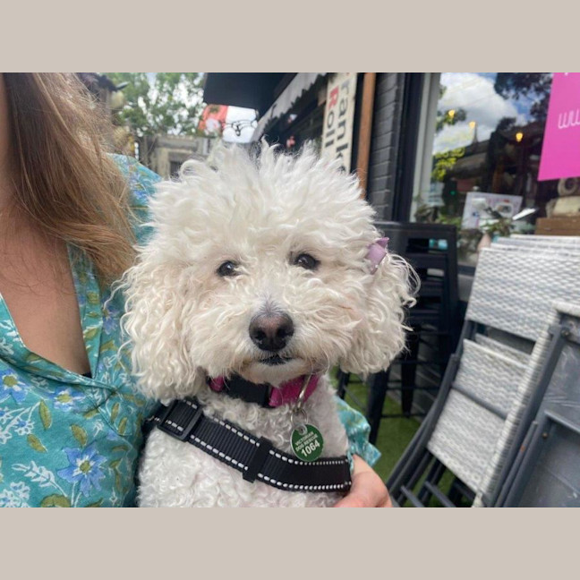 Photo of Oscar And Tilly Tamblyn