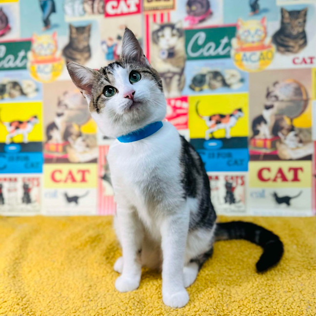 Photo of Garry   Located In Preston