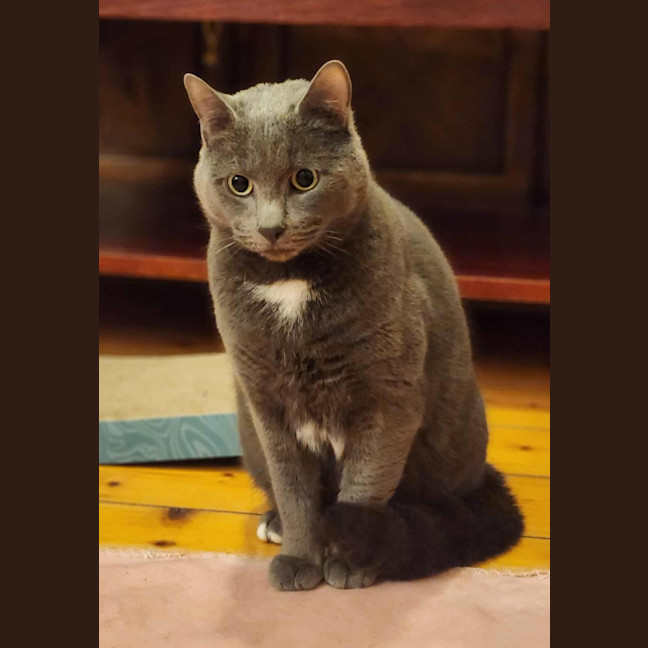Photo of Smokey! 