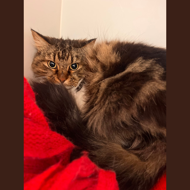 Photo of Esther