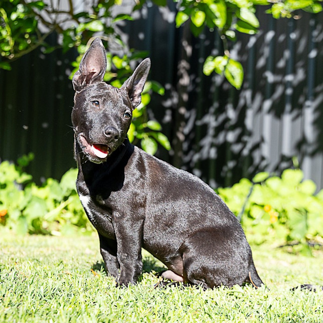 Photo of Riff