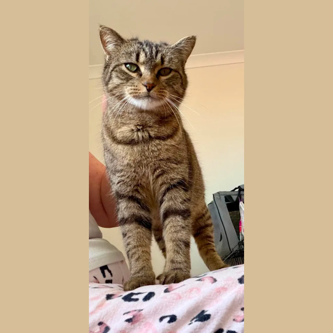 Photo of Matilda