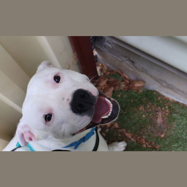 Photo of Posey