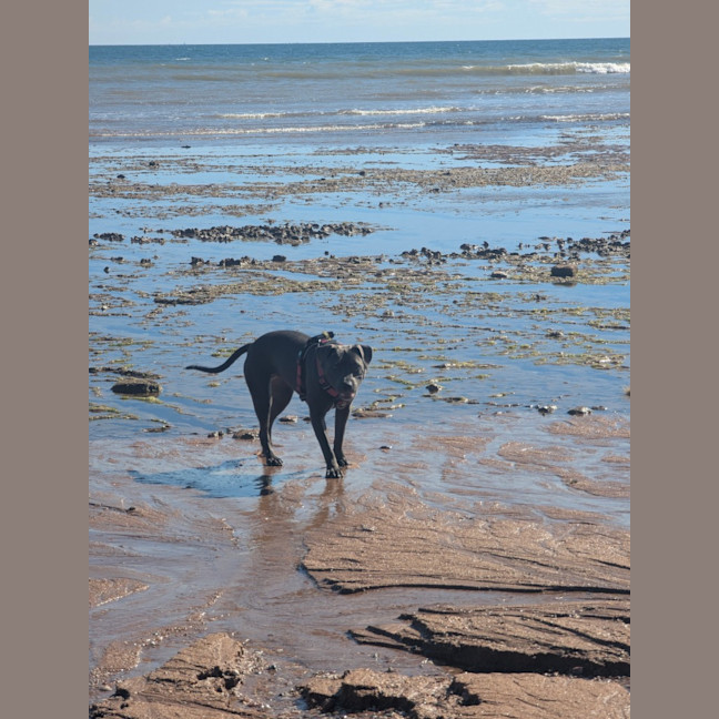 Photo of Bumble