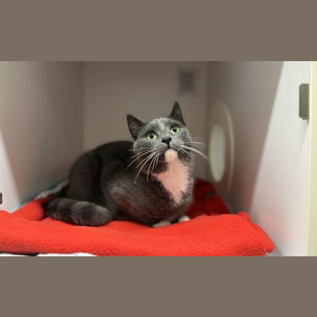 Photo of Stormy