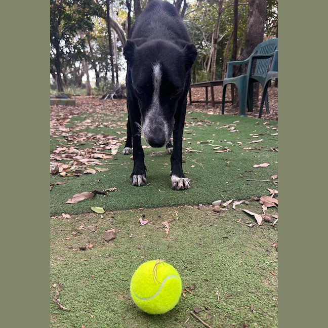 Photo of Missy