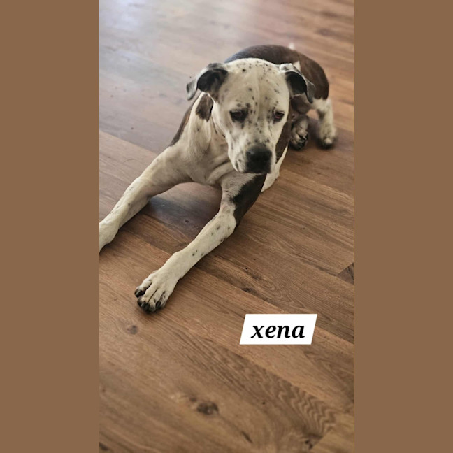 Photo of Xena