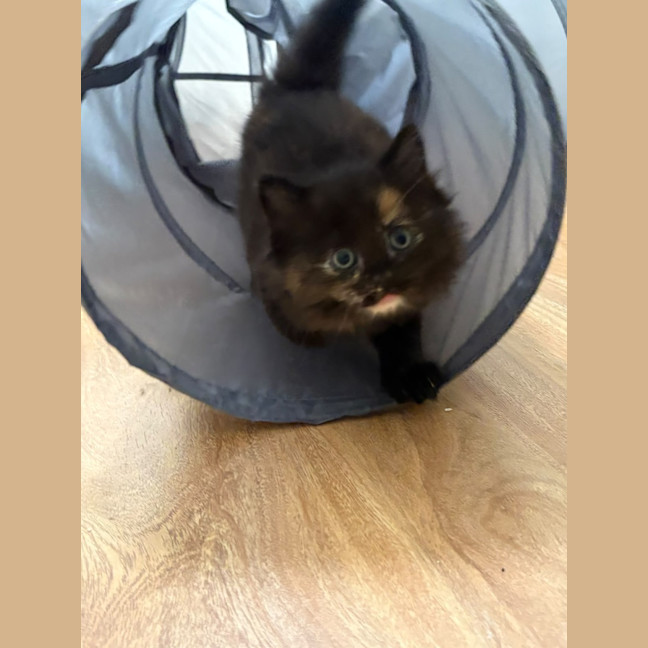 Photo of Cash