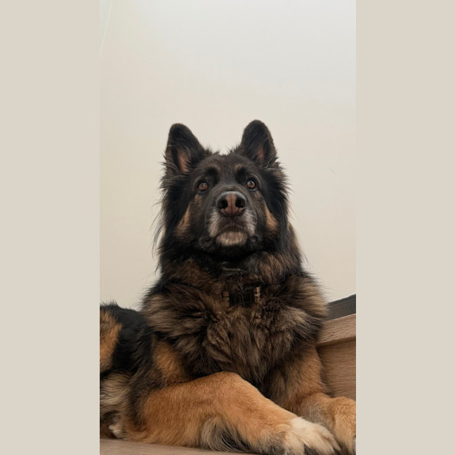 Photo of Kai