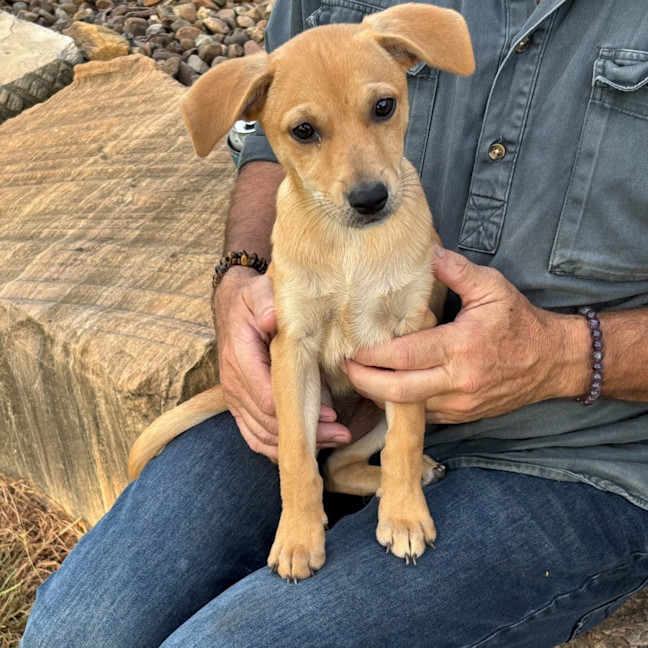 Photo of Sugar
