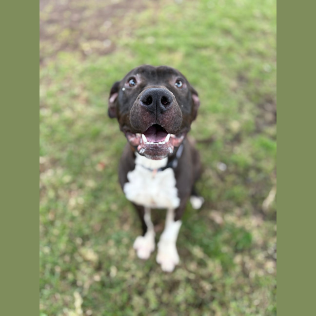 Photo of Socks