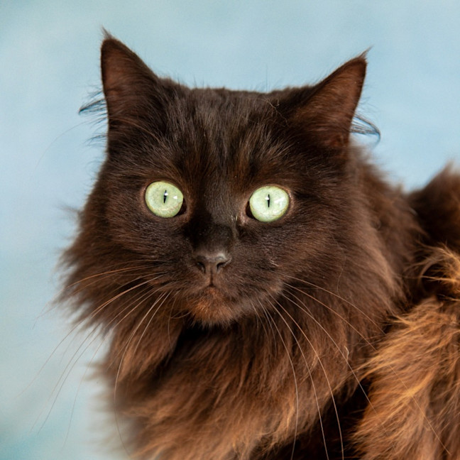 Photo of Ebony & Ivory