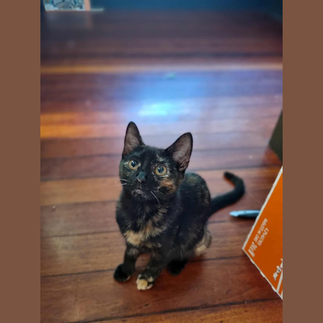 Photo of Nix