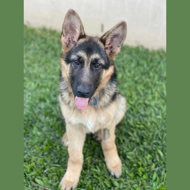 Photo of Gideon