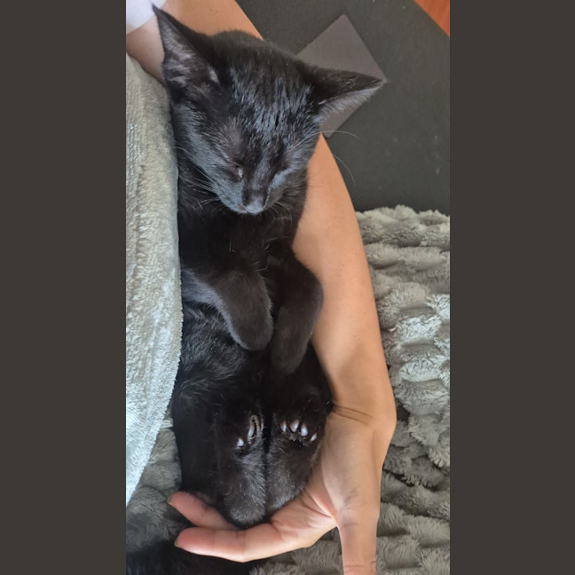 Photo of Luna U2026108