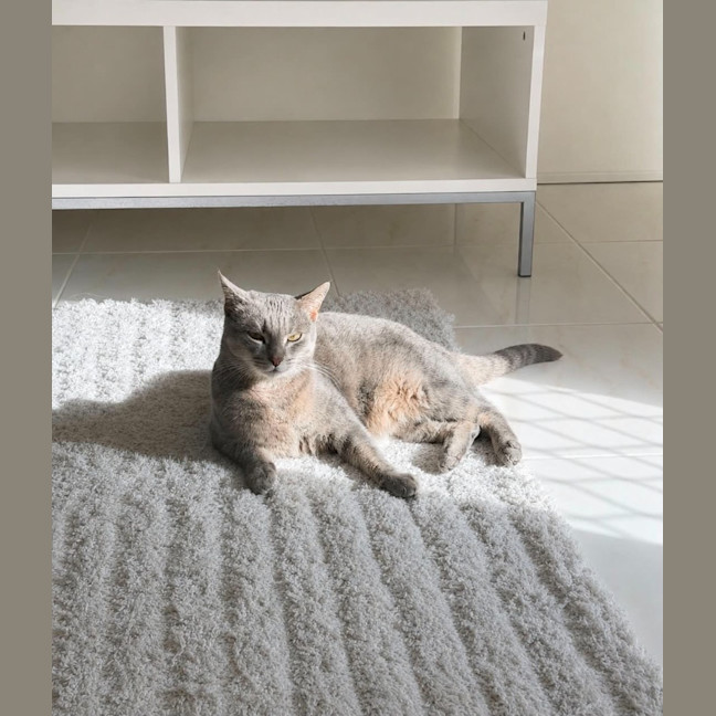 Photo of Olivia