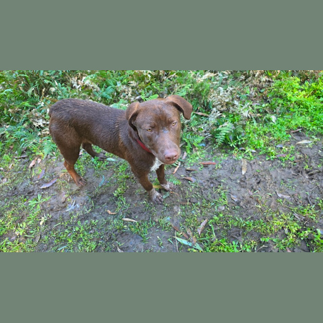Photo of Cino