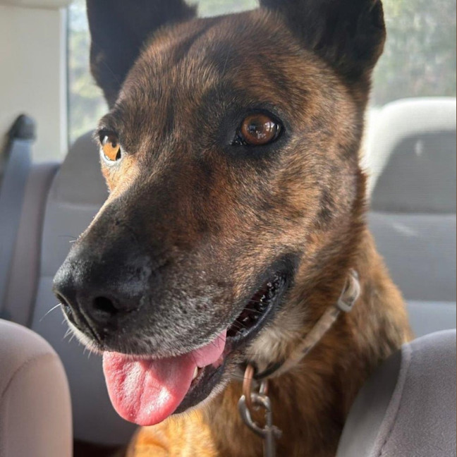 Photo of Swiftee Haliwell