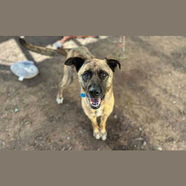 Photo of Sprout