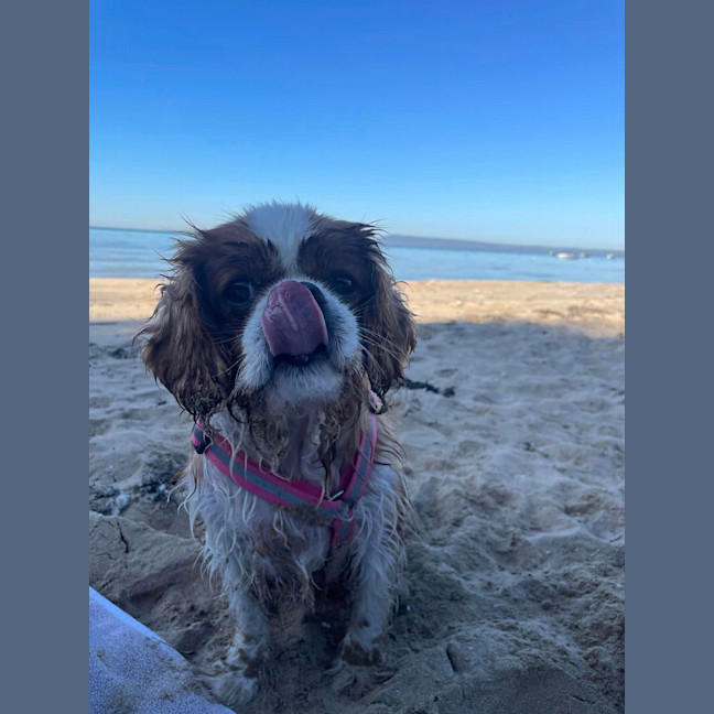 Photo of Coco