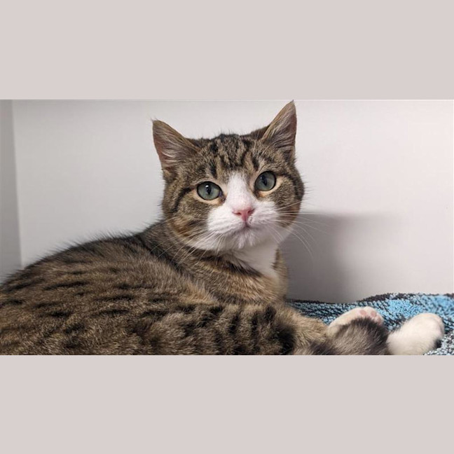 Photo of Buddy
