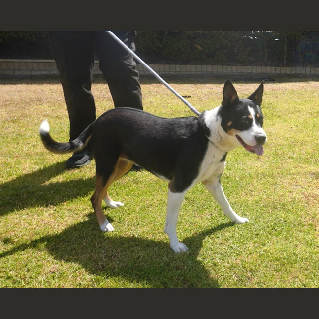 Photo of Tia