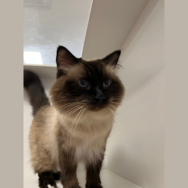 Photo of Mr Handsome