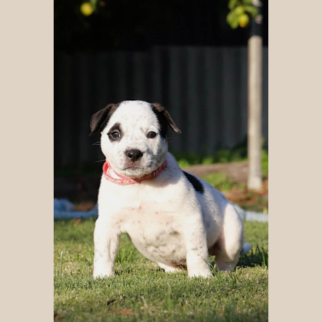 Photo of Sylvie