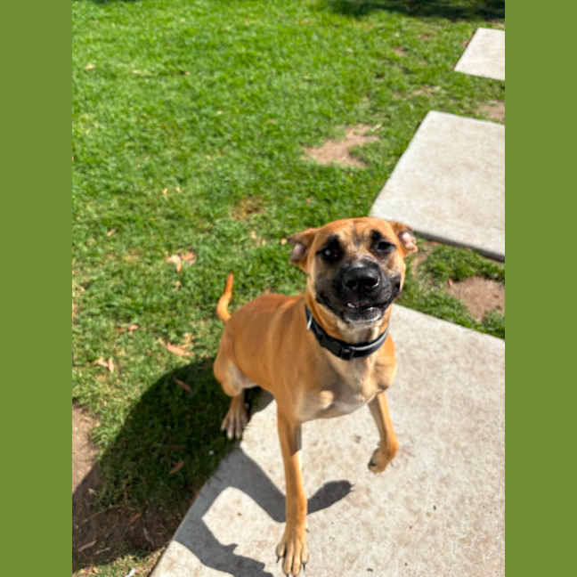 Photo of Gertie