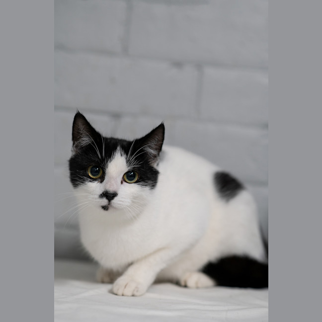 Photo of Wednesday