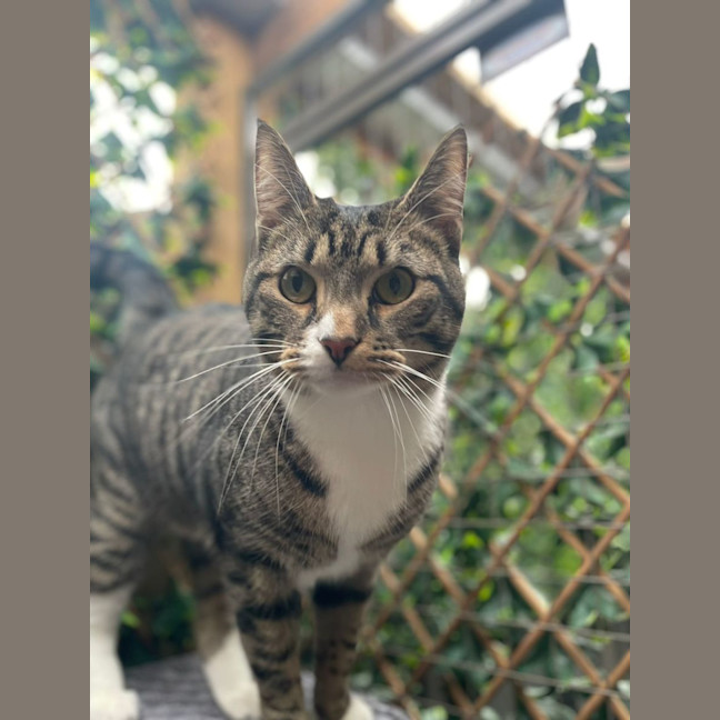 Photo of Sutton   Best Buds With Kevin   Check His Profile