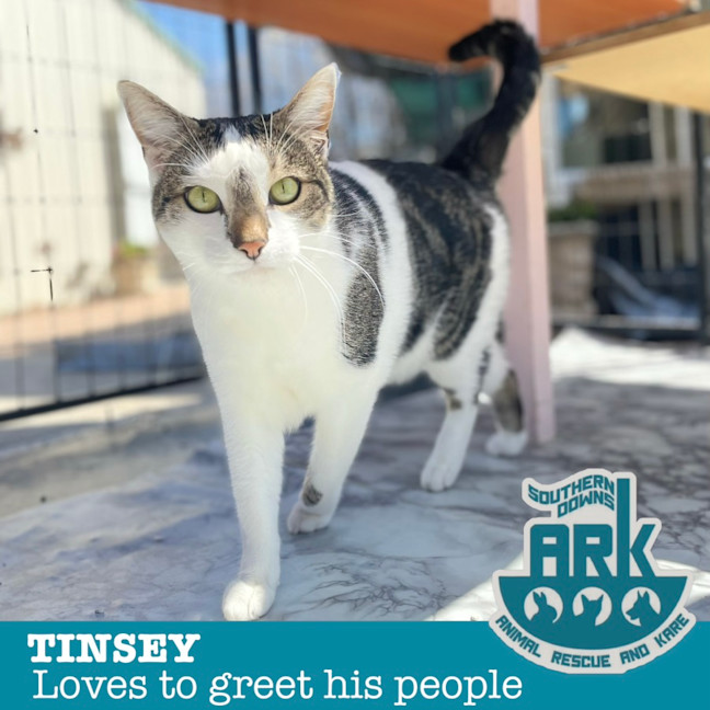 Photo of Tinsey