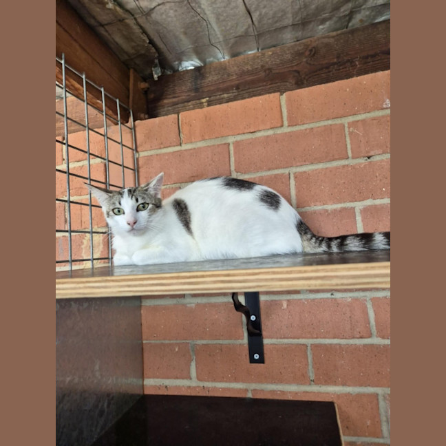 Photo of Whitney! 🌟