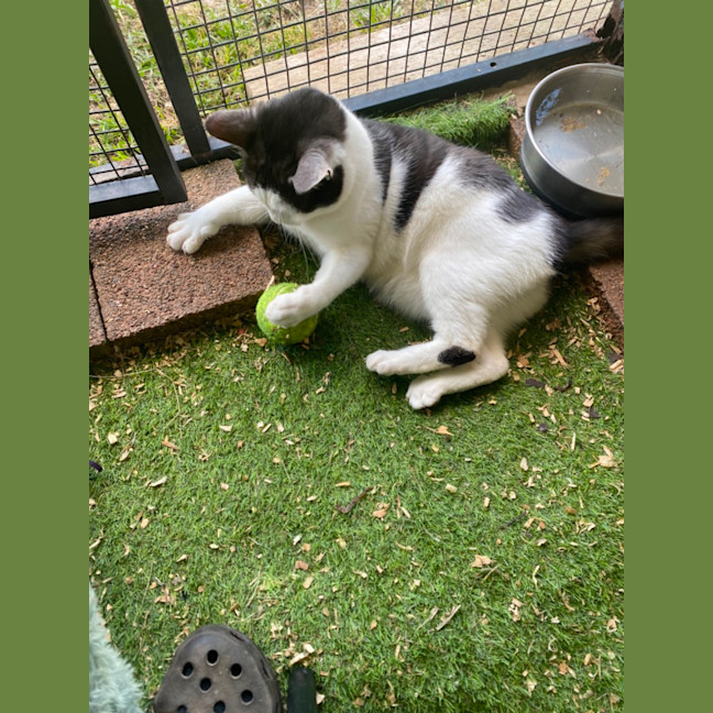 Photo of Neo
