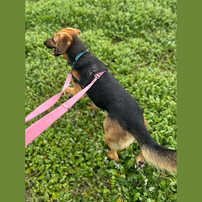Photo of Cleo