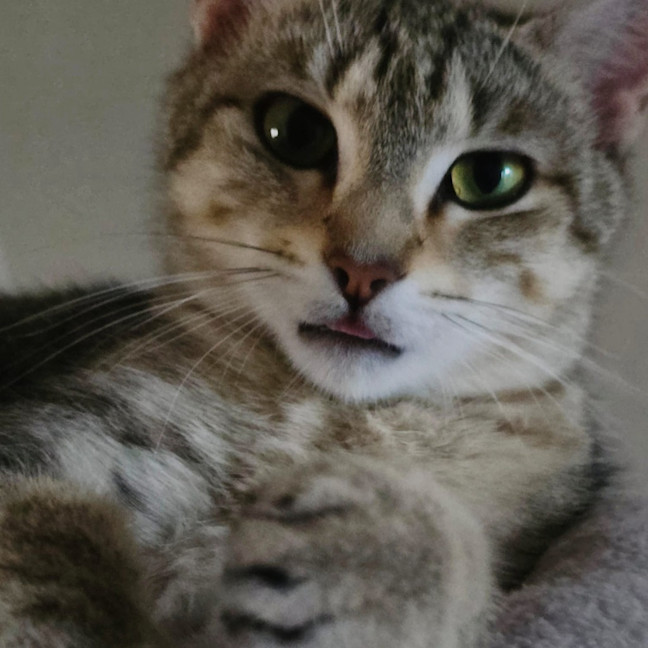Photo of Nini